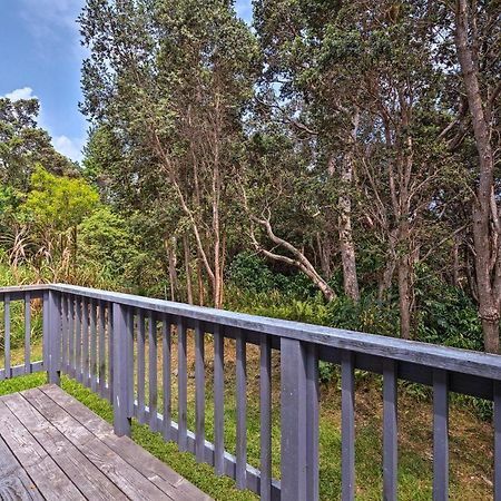 Peaceful Abode With Deck, 13 Mi To Black Sand Beach! Naalehu Exteriör bild